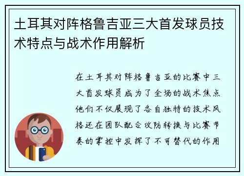 土耳其对阵格鲁吉亚三大首发球员技术特点与战术作用解析