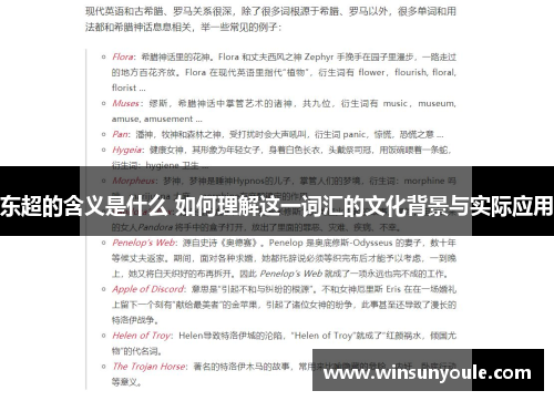 东超的含义是什么 如何理解这一词汇的文化背景与实际应用
