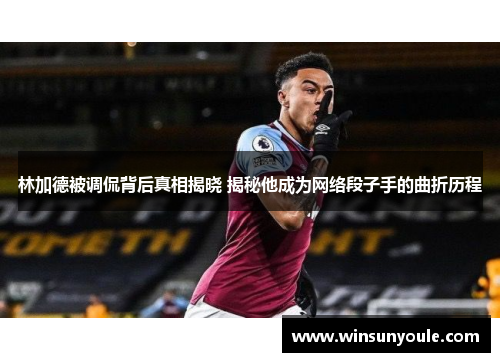 林加德被调侃背后真相揭晓 揭秘他成为网络段子手的曲折历程