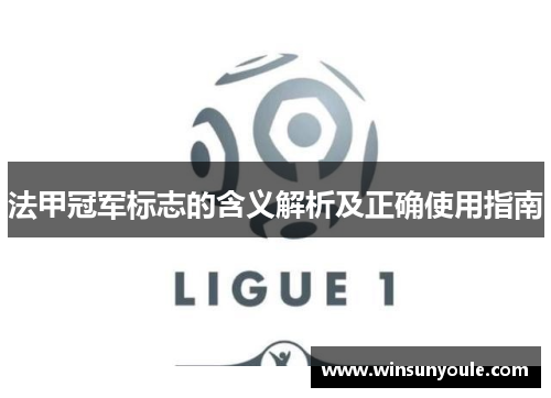 法甲冠军标志的含义解析及正确使用指南
